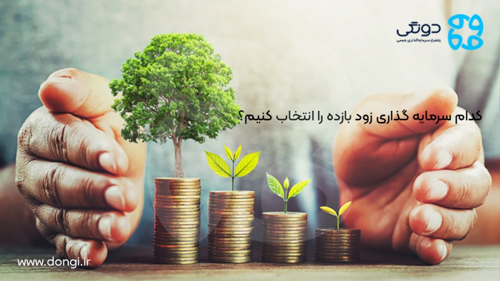 کدام سرمایه گذاری زود بازده را انتخاب کنیم؟